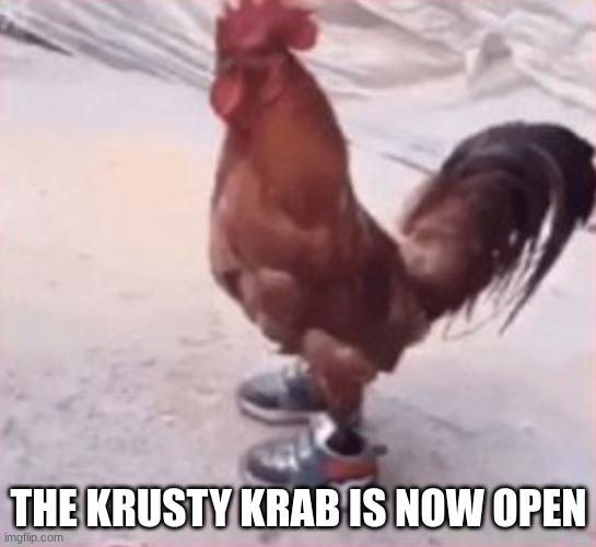 dripping bird of a specific name | THE KRUSTY KRAB IS NOW OPEN | image tagged in dripping bird of a specific name | made w/ Imgflip meme maker