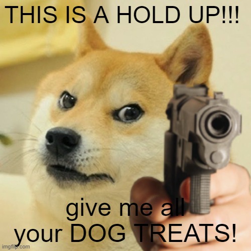 just give him the treats. | THIS IS A HOLD UP!!! give me all your DOG TREATS! | image tagged in doge holding a gun | made w/ Imgflip meme maker