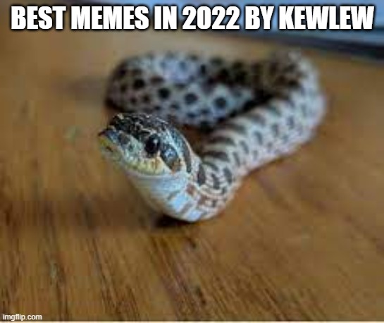 best memes in 2023 by kewlew |  BEST MEMES IN 2022 BY KEWLEW | image tagged in best memes,kewlew | made w/ Imgflip meme maker
