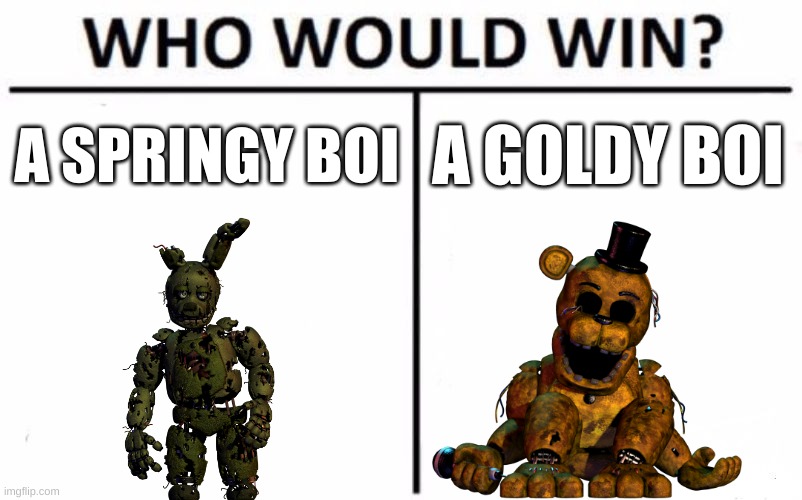 who would win in a fist fight? | A SPRINGY BOI; A GOLDY BOI | image tagged in memes,who would win | made w/ Imgflip meme maker