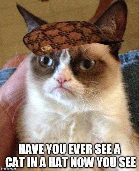 Grumpy Cat Meme | HAVE YOU EVER SEE A CAT IN A HAT NOW YOU SEE | image tagged in memes,grumpy cat,scumbag | made w/ Imgflip meme maker