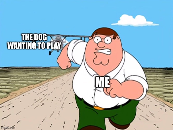 Peter Griffin running away | ME THE DOG WANTING TO PLAY | image tagged in peter griffin running away | made w/ Imgflip meme maker