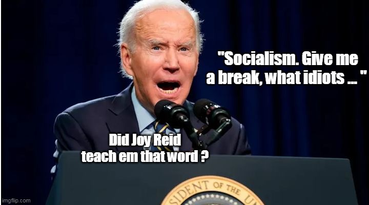 "Socialism. Give me a break, what idiots ... " Did Joy Reid teach em that word ? | made w/ Imgflip meme maker