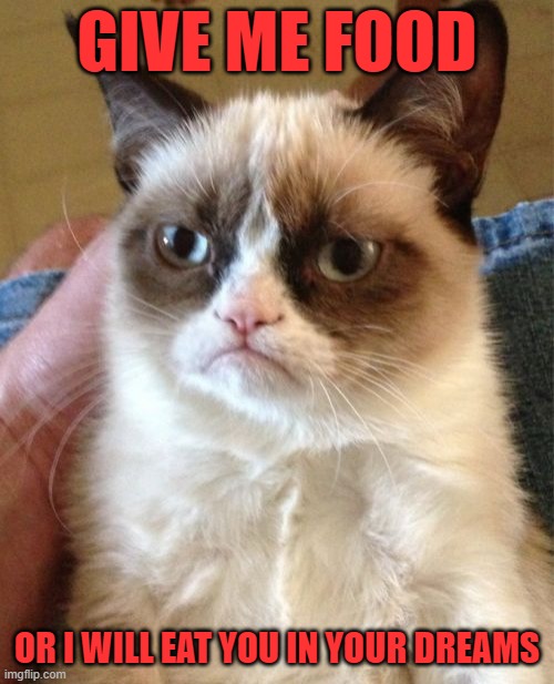 Grumpy Cat Meme | GIVE ME FOOD; OR I WILL EAT YOU IN YOUR DREAMS | image tagged in memes,grumpy cat | made w/ Imgflip meme maker