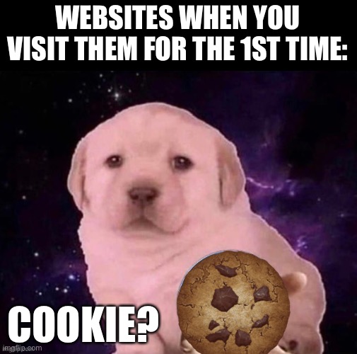 Cookie? |  WEBSITES WHEN YOU VISIT THEM FOR THE 1ST TIME:; COOKIE? | image tagged in dog gives the dvd,memes,funny,cookie,websites,relatable memes | made w/ Imgflip meme maker