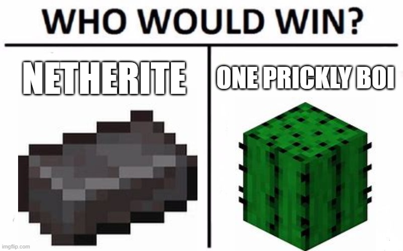 1 boi | NETHERITE; ONE PRICKLY BOI | image tagged in memes,who would win,lol | made w/ Imgflip meme maker
