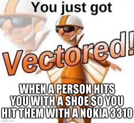 YOU JUST GOT VECTORED | WHEN A PERSON HITS YOU WITH A SHOE SO YOU HIT THEM WITH A NOKIA 3310 | image tagged in you just got vectored,nokia,nokia 3310,shoe,person | made w/ Imgflip meme maker