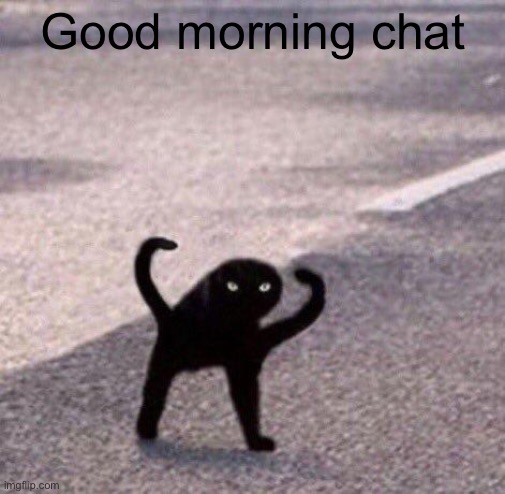 Cursed cat temp | Good morning chat | image tagged in cursed cat temp | made w/ Imgflip meme maker