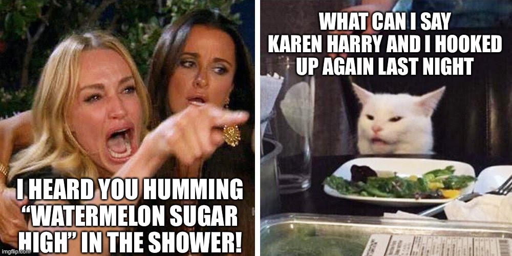 Tastes like Strawberries…..? | WHAT CAN I SAY KAREN HARRY AND I HOOKED UP AGAIN LAST NIGHT; I HEARD YOU HUMMING “WATERMELON SUGAR HIGH” IN THE SHOWER! | image tagged in smudge the cat,funny memes,harry styles | made w/ Imgflip meme maker