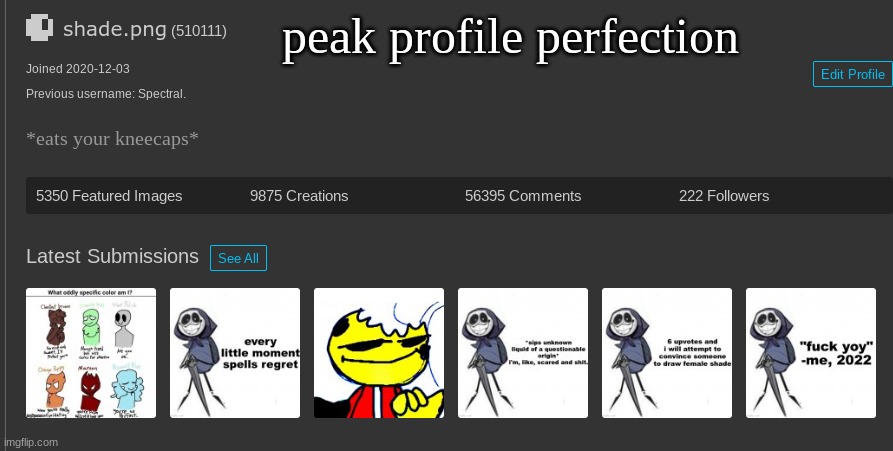 peak profile perfection | made w/ Imgflip meme maker