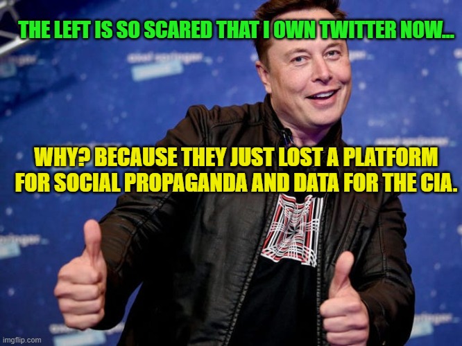 Elon Musk Nice | THE LEFT IS SO SCARED THAT I OWN TWITTER NOW... WHY? BECAUSE THEY JUST LOST A PLATFORM FOR SOCIAL PROPAGANDA AND DATA FOR THE CIA. | image tagged in elon musk nice | made w/ Imgflip meme maker