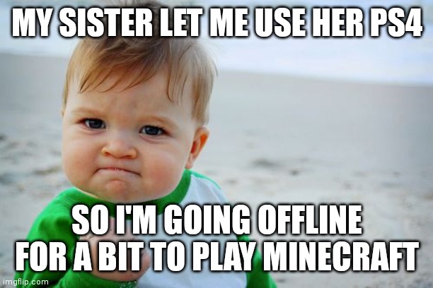 Might send a screenshot of my game idk | MY SISTER LET ME USE HER PS4; SO I'M GOING OFFLINE FOR A BIT TO PLAY MINECRAFT | image tagged in memes,success kid original | made w/ Imgflip meme maker