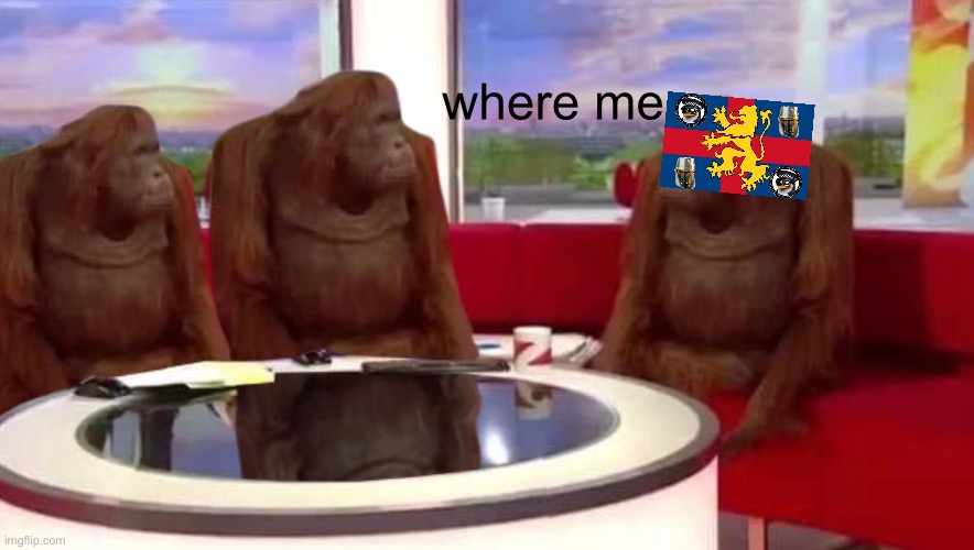 where monkey | where me | image tagged in where monkey | made w/ Imgflip meme maker