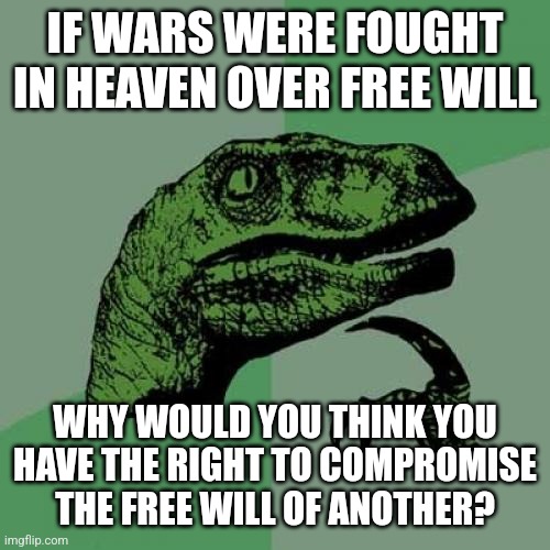 Philosoraptor Meme | IF WARS WERE FOUGHT IN HEAVEN OVER FREE WILL; WHY WOULD YOU THINK YOU HAVE THE RIGHT TO COMPROMISE THE FREE WILL OF ANOTHER? | image tagged in memes,philosoraptor | made w/ Imgflip meme maker