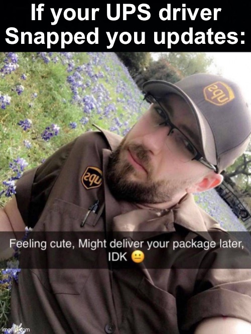 He is cute tbf | If your UPS driver Snapped you updates: | image tagged in memes,unfunny,ups | made w/ Imgflip meme maker