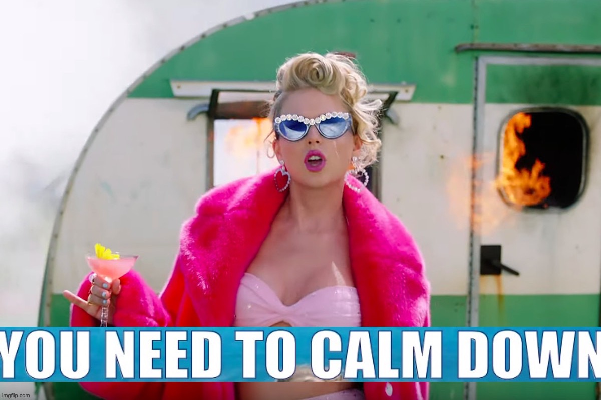 Taylor Swift you need to calm down | image tagged in taylor swift you need to calm down | made w/ Imgflip meme maker