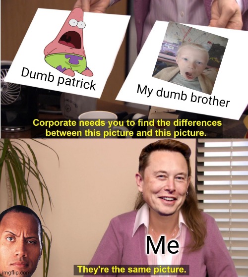 They're The Same Picture | Dumb patrick; My dumb brother; Me | image tagged in memes,they're the same picture | made w/ Imgflip meme maker