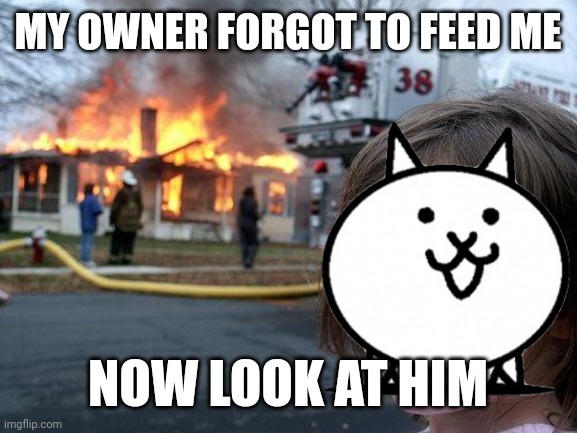 Disaster cat | MY OWNER FORGOT TO FEED ME; NOW LOOK AT HIM | image tagged in memes,disaster girl | made w/ Imgflip meme maker