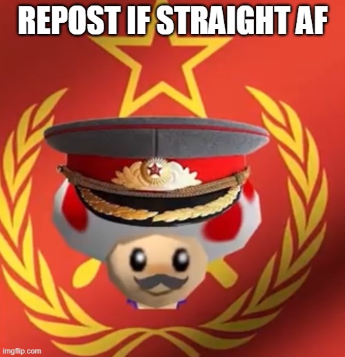Soviet toad | REPOST IF STRAIGHT AF | image tagged in soviet toad | made w/ Imgflip meme maker