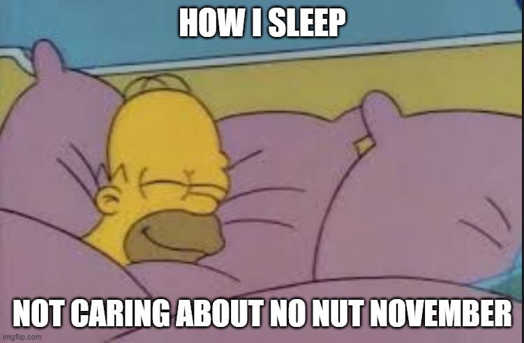 how i sleep homer simpson | HOW I SLEEP; NOT CARING ABOUT NO NUT NOVEMBER | image tagged in how i sleep homer simpson | made w/ Imgflip meme maker