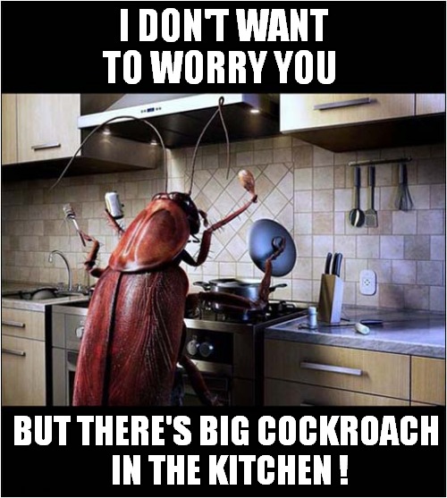 Remain Calm ! | I DON'T WANT TO WORRY YOU; BUT THERE'S BIG COCKROACH
 IN THE KITCHEN ! | image tagged in fun,worry,cockroach,kitchen | made w/ Imgflip meme maker