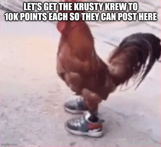 dripping bird of a specific name | LET'S GET THE KRUSTY KREW TO 10K POINTS EACH SO THEY CAN POST HERE | image tagged in dripping bird of a specific name | made w/ Imgflip meme maker