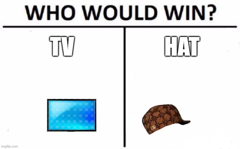 Who Would Win? | TV; HAT | image tagged in memes,who would win | made w/ Imgflip meme maker