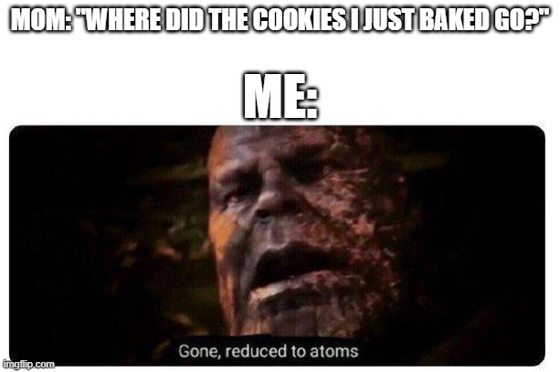 gone reduced to atoms | MOM: "WHERE DID THE COOKIES I JUST BAKED GO?"; ME: | image tagged in gone reduced to atoms | made w/ Imgflip meme maker