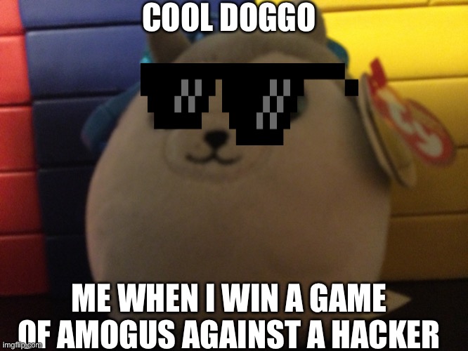 Yes I still love amogus | COOL DOGGO; ME WHEN I WIN A GAME OF AMOGUS AGAINST A HACKER | image tagged in large boi | made w/ Imgflip meme maker