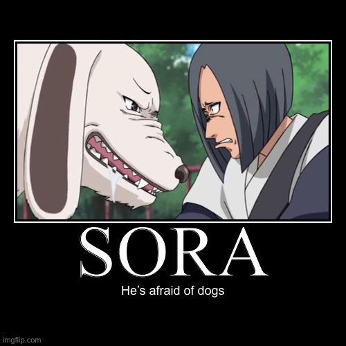 The relationship between Sora and Akamaru from a filler episode in Naruto Shippuden | image tagged in funny,demotivationals,memes,sora,naruto shippuden,dogs | made w/ Imgflip demotivational maker