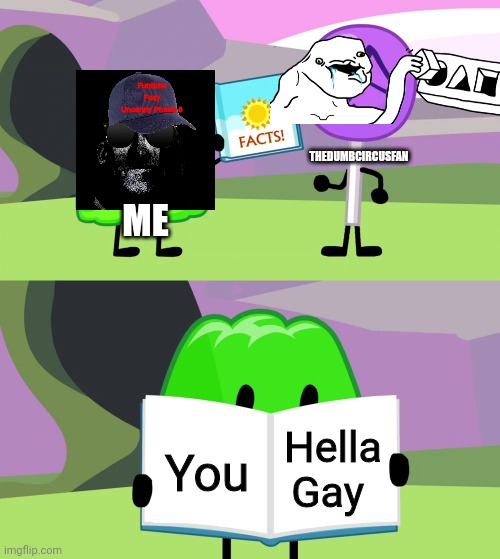 TMDF is hella gay | Funtime Foxy Uncanny Phase 6; THEDUMBCIRCUSFAN; ME; Hella Gay; You | image tagged in gelatin's book of facts,tmdf sucks,hella gay,no u | made w/ Imgflip meme maker
