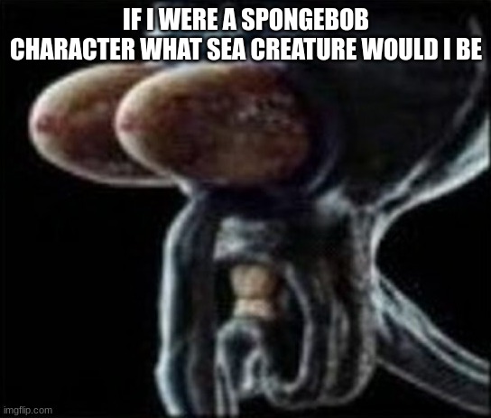 Squidward staring | IF I WERE A SPONGEBOB CHARACTER WHAT SEA CREATURE WOULD I BE | image tagged in squidward staring | made w/ Imgflip meme maker