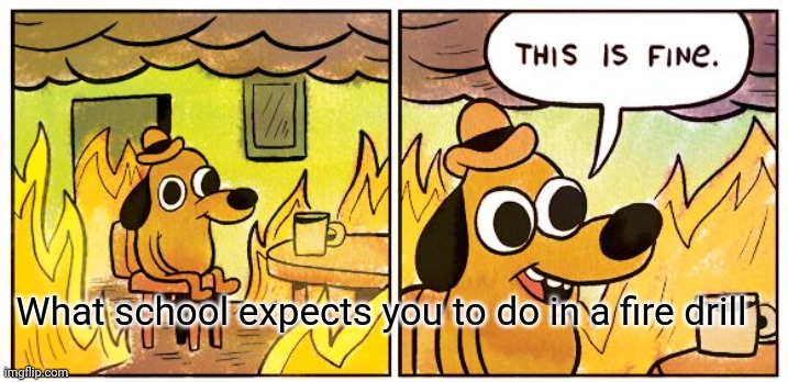 This Is Fine | What school expects you to do in a fire drill | image tagged in memes,this is fine | made w/ Imgflip meme maker
