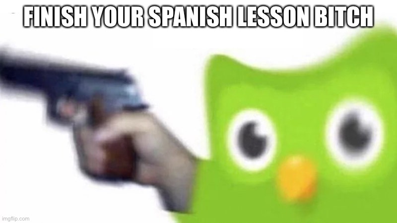 duolingo gun | FINISH YOUR SPANISH LESSON BITCH | image tagged in duolingo gun,duolingo | made w/ Imgflip meme maker