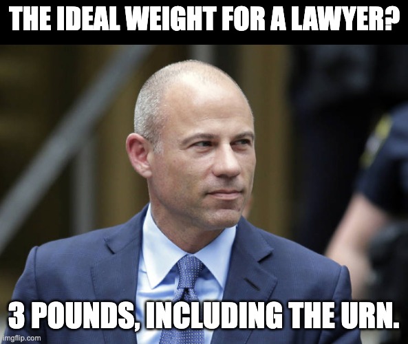 Lawyer Humor | THE IDEAL WEIGHT FOR A LAWYER? 3 POUNDS, INCLUDING THE URN. | image tagged in lawyers | made w/ Imgflip meme maker