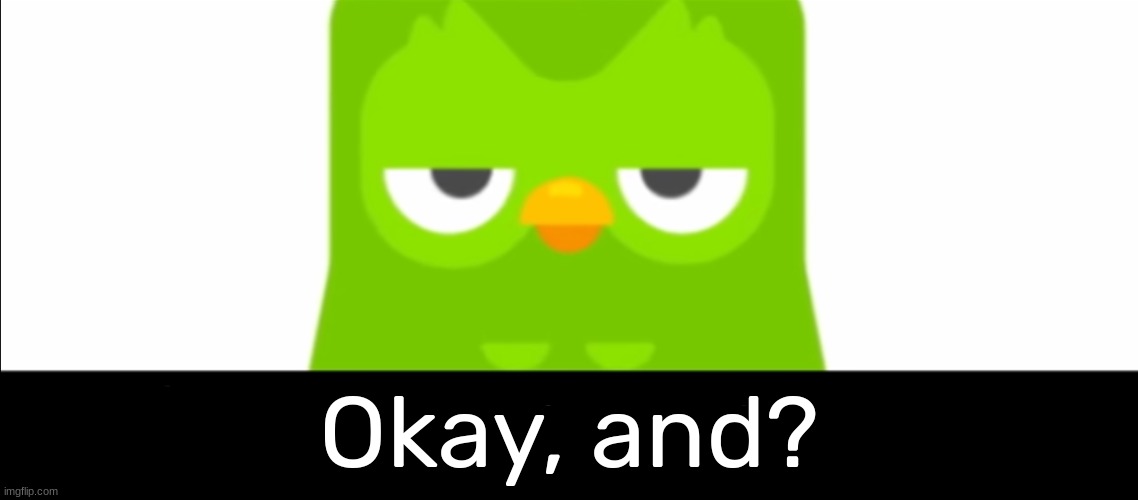 Duolingo was unimpressed | Okay, and? | image tagged in duolingo was unimpressed | made w/ Imgflip meme maker