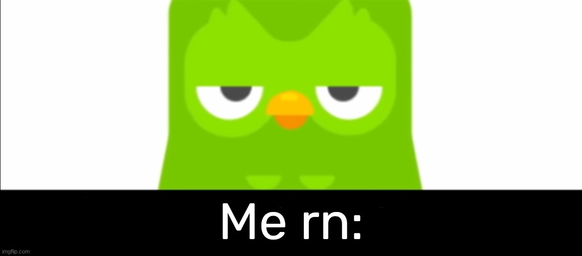 Duolingo was unimpressed | Me rn: | image tagged in duolingo was unimpressed | made w/ Imgflip meme maker