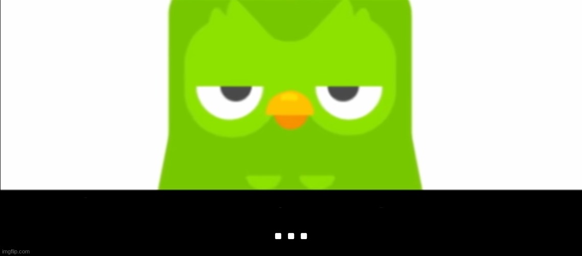 Duolingo was unimpressed | ... | image tagged in duolingo was unimpressed | made w/ Imgflip meme maker