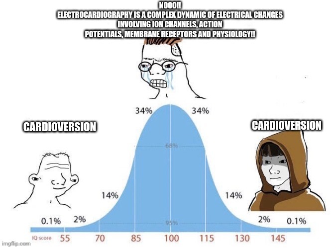 Bell Curve | NOOO!!
ELECTROCARDIOGRAPHY IS A COMPLEX DYNAMIC OF ELECTRICAL CHANGES INVOLVING ION CHANNELS, ACTION POTENTIALS, MEMBRANE RECEPTORS AND PHYSIOLOGY!! CARDIOVERSION; CARDIOVERSION | image tagged in bell curve,ems | made w/ Imgflip meme maker