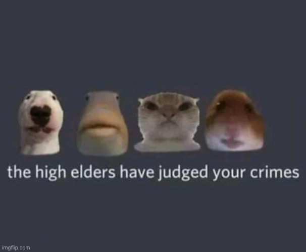 They will judge you | image tagged in the high elders have judged your crimes,memes,unfunny | made w/ Imgflip meme maker