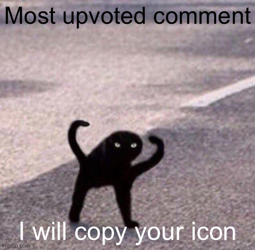 Cursed cat temp | Most upvoted comment; I will copy your icon | image tagged in cursed cat temp | made w/ Imgflip meme maker
