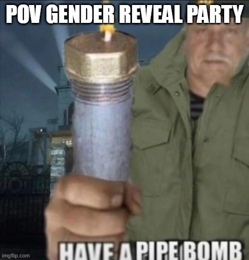 dead chat xd | POV GENDER REVEAL PARTY | image tagged in have a pipe bomb | made w/ Imgflip meme maker