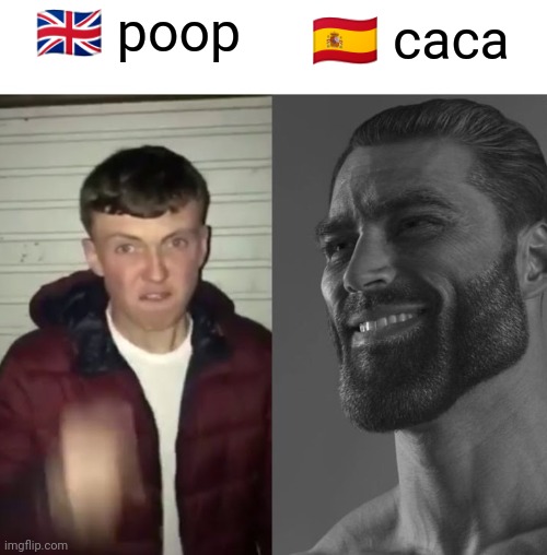 I'm not really spanish | 🇬🇧 poop; 🇪🇸 caca | image tagged in average fan vs average enjoyer,english,spanish,poop | made w/ Imgflip meme maker