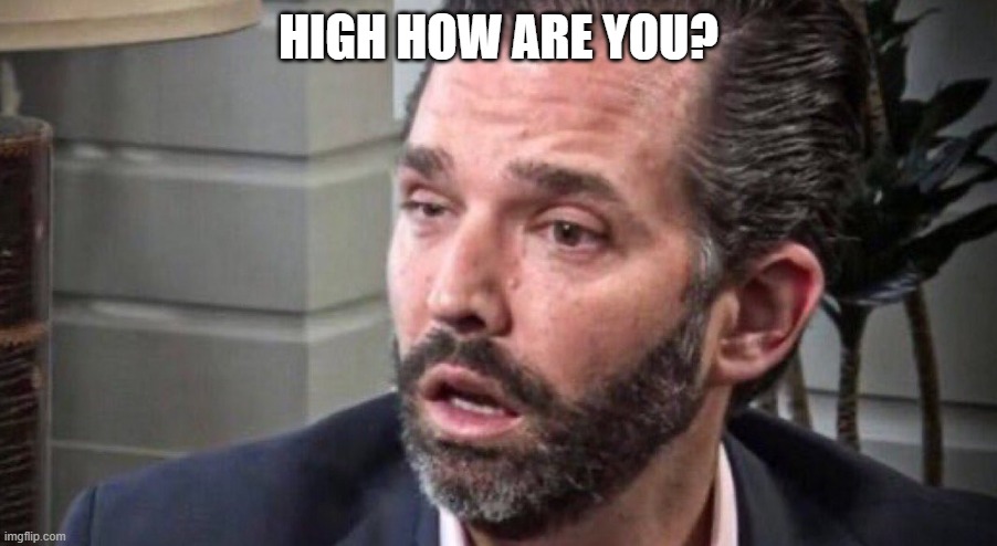 don trump jr coked up (facing left) | HIGH HOW ARE YOU? | image tagged in don trump jr coked up facing left | made w/ Imgflip meme maker