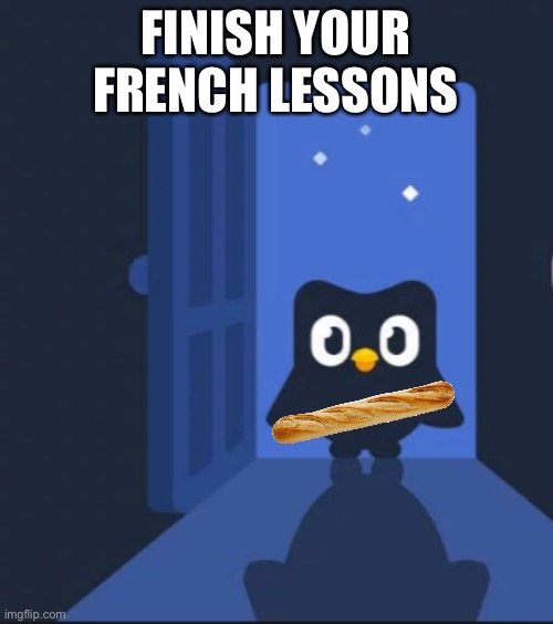 Duolingo bird | FINISH YOUR FRENCH LESSONS | image tagged in duolingo bird,duolingo,french | made w/ Imgflip meme maker