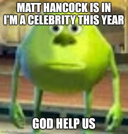 Sully Wazowski | MATT HANCOCK IS IN I'M A CELEBRITY THIS YEAR; GOD HELP US | image tagged in sully wazowski | made w/ Imgflip meme maker