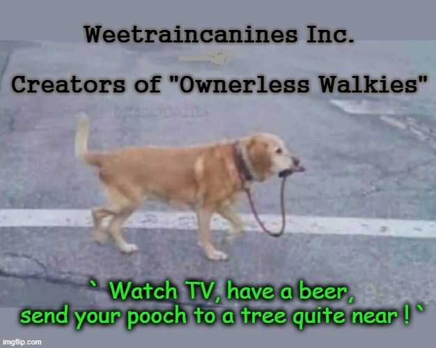 Ownerless Walkies ! | image tagged in good boy | made w/ Imgflip meme maker
