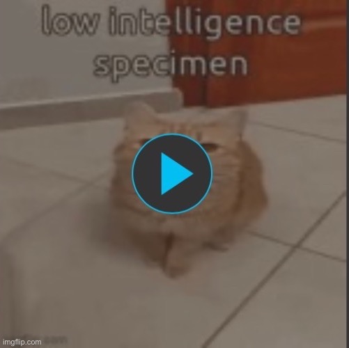 E | image tagged in gifs | made w/ Imgflip meme maker