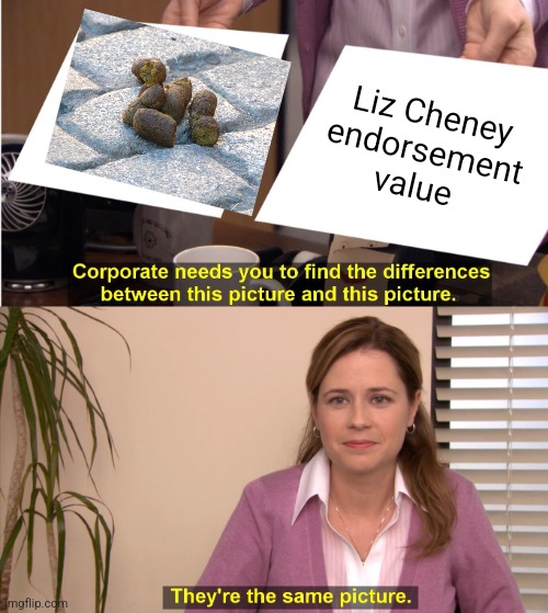 Liz CHENEY was "that" girl I'm high school |  Liz Cheney endorsement value | image tagged in dick cheney,daughter,stfu,loser,rino,democrat | made w/ Imgflip meme maker
