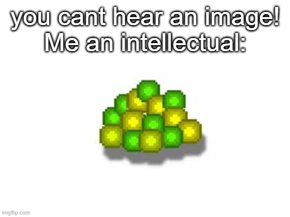 [Interesting Title] | you cant hear an image!
Me an intellectual: | image tagged in minecraft,funny,memes,relatable,big brain | made w/ Imgflip meme maker